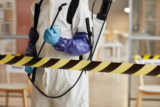 Professional Biohazard technician working in Englewood, FL